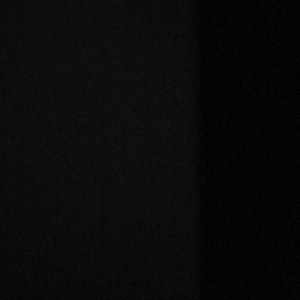 Meet your Posher, Ella